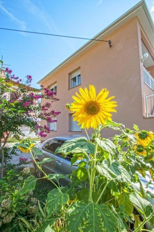 Apartman Studio Nena Crikvenica Extérieur photo